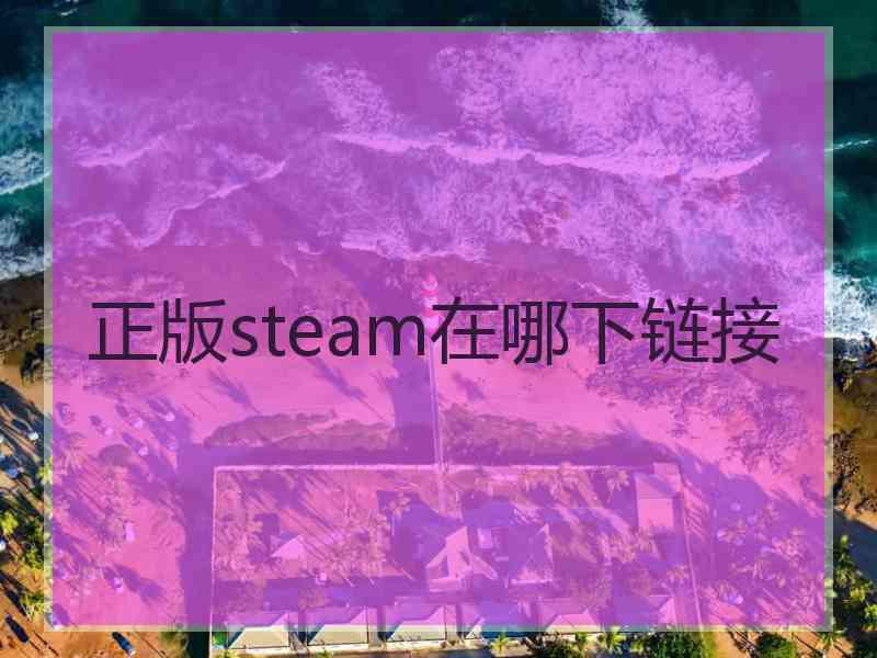 正版steam在哪下链接