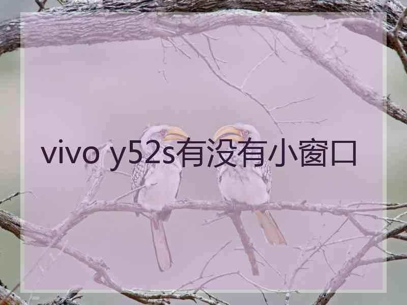 vivo y52s有没有小窗口