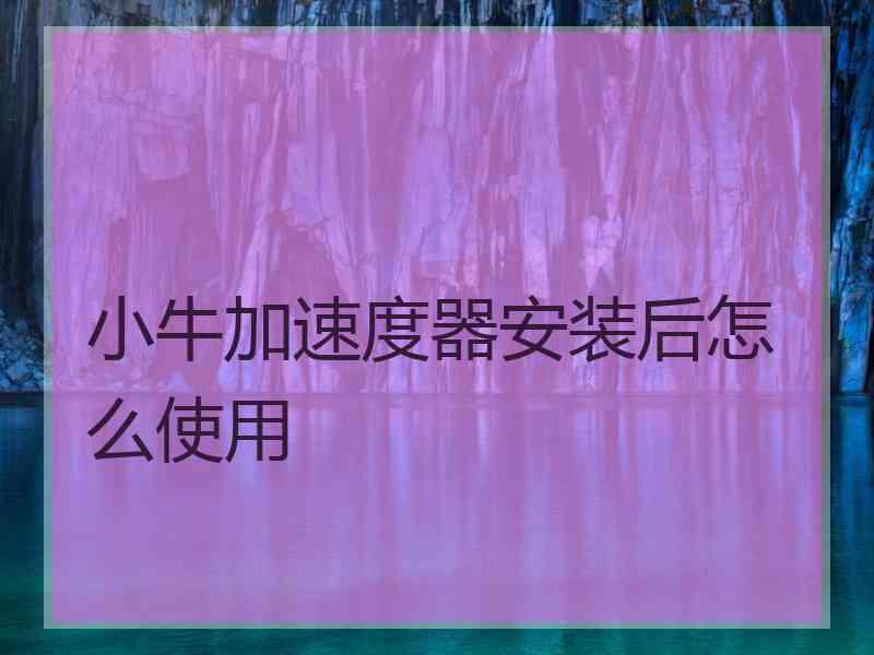 小牛加速度器安装后怎么使用