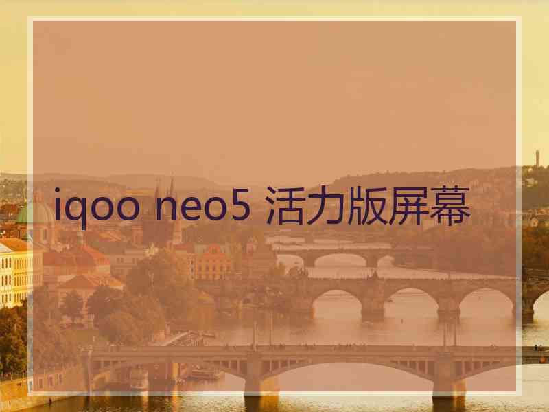 iqoo neo5 活力版屏幕