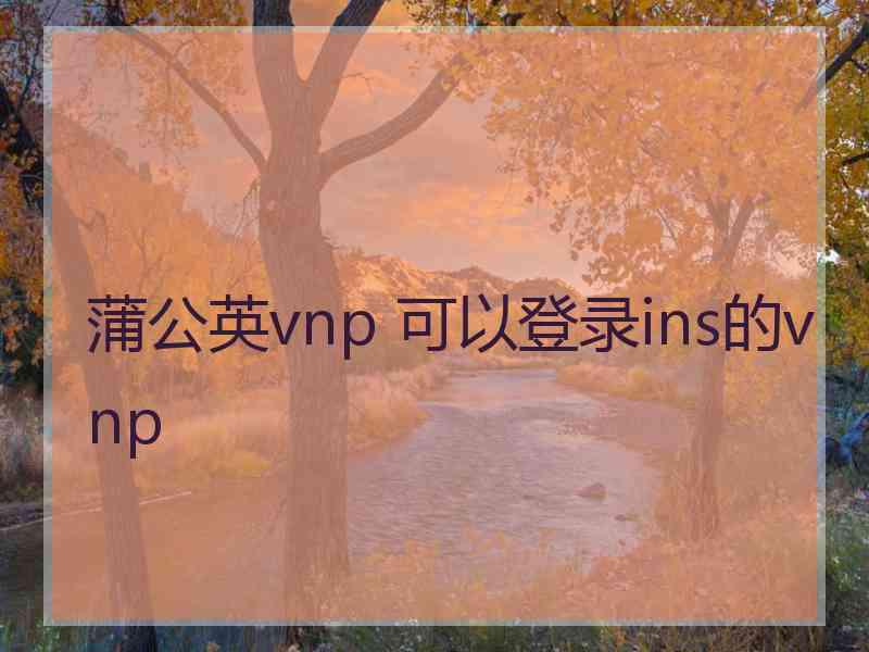 蒲公英vnp 可以登录ins的vnp