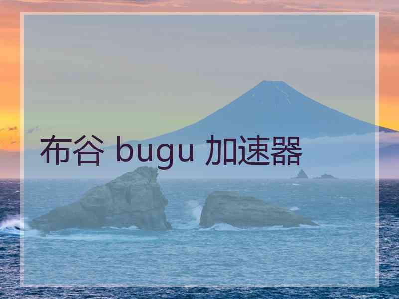 布谷 bugu 加速器