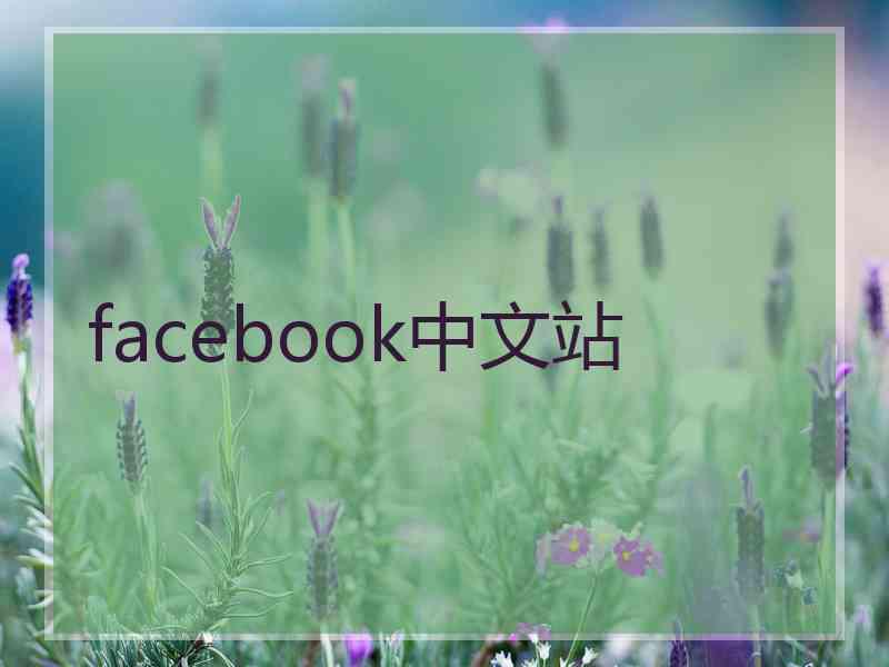 facebook中文站