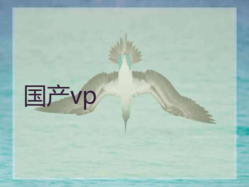 国产vp