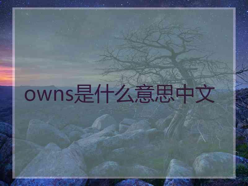 owns是什么意思中文