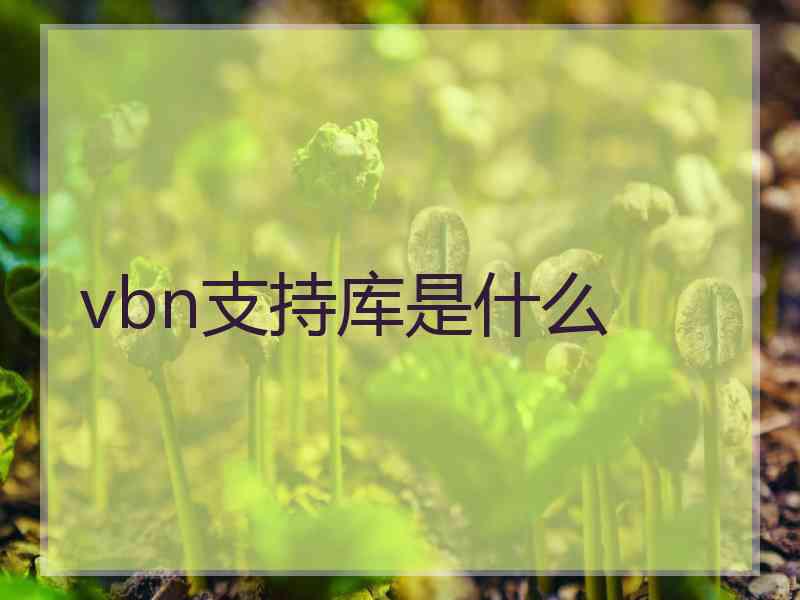 vbn支持库是什么