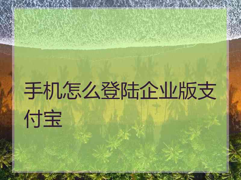 手机怎么登陆企业版支付宝