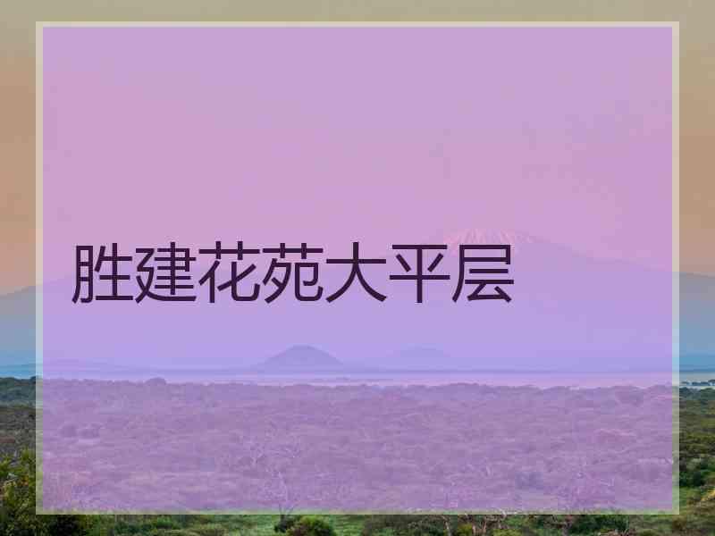 胜建花苑大平层