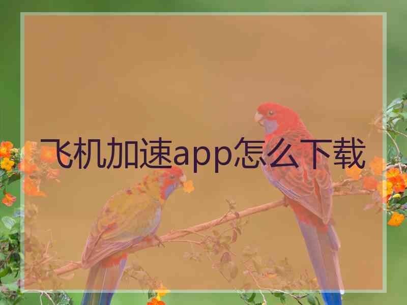 飞机加速app怎么下载