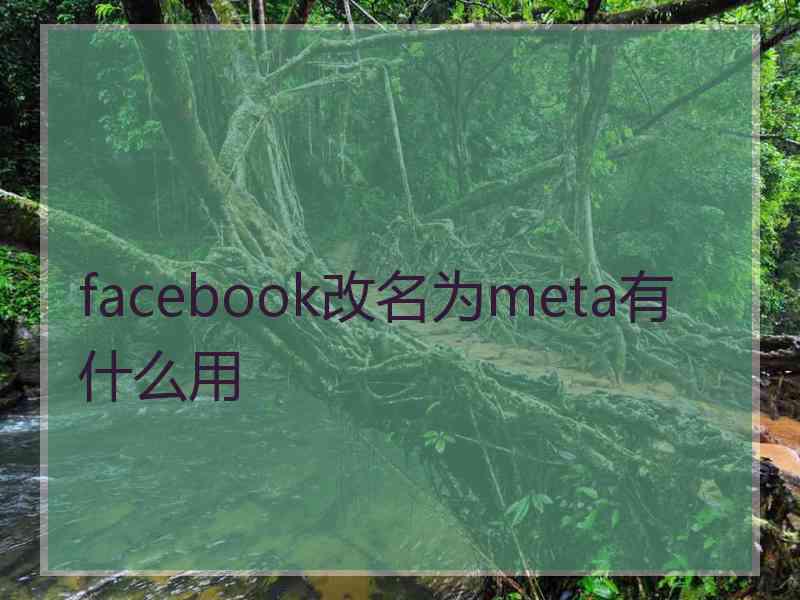 facebook改名为meta有什么用