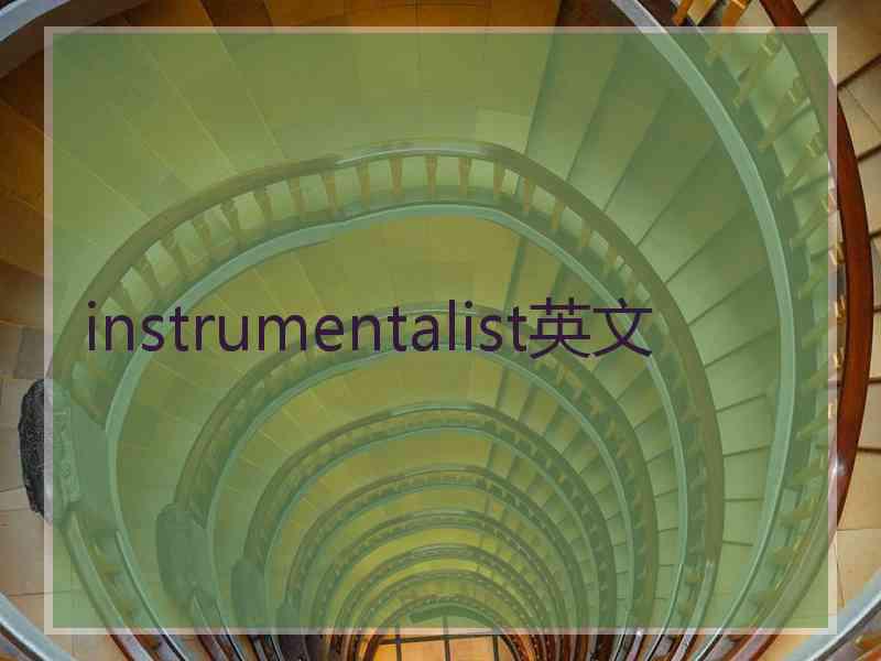 instrumentalist英文