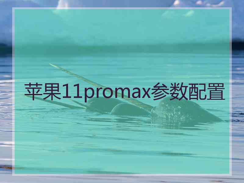 苹果11promax参数配置