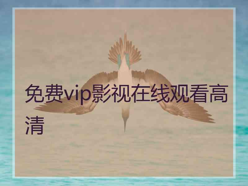 免费vip影视在线观看高清