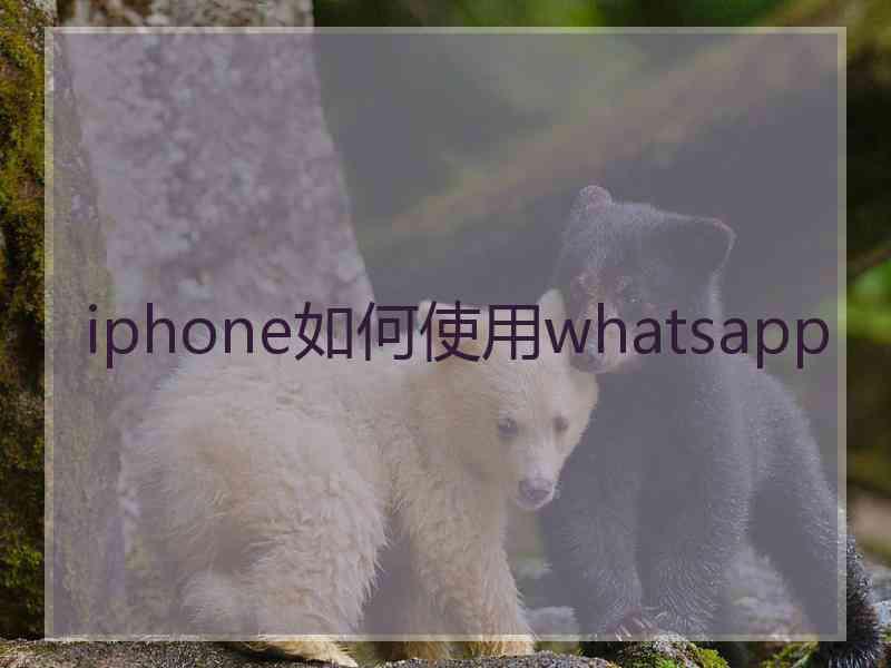 iphone如何使用whatsapp