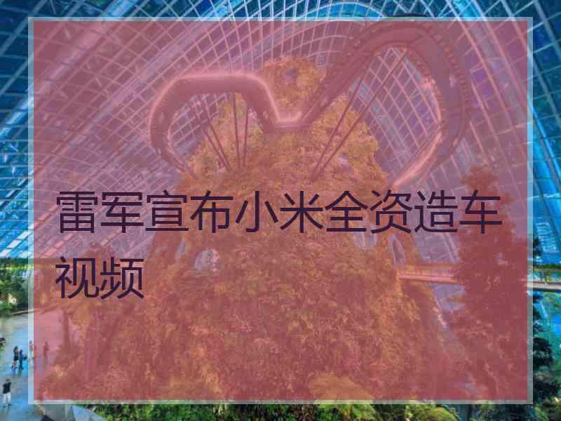 雷军宣布小米全资造车视频