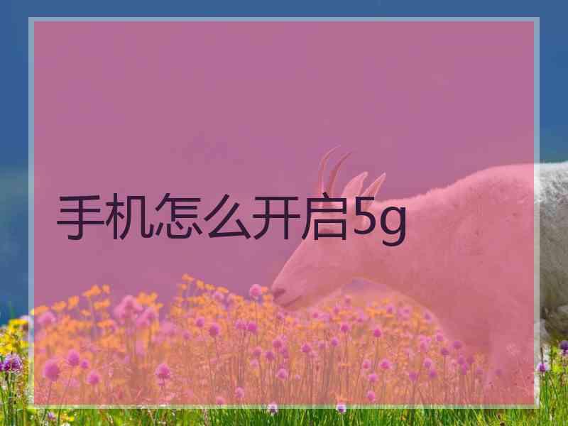 手机怎么开启5g