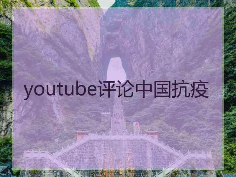 youtube评论中国抗疫