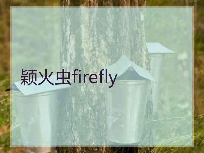 颖火虫firefly