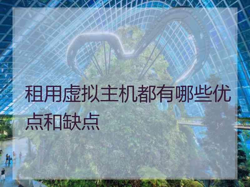 租用虚拟主机都有哪些优点和缺点