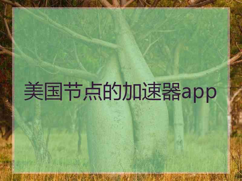 美国节点的加速器app