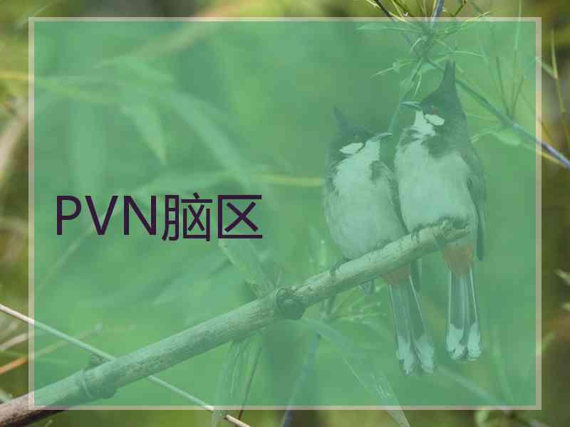 PVN脑区