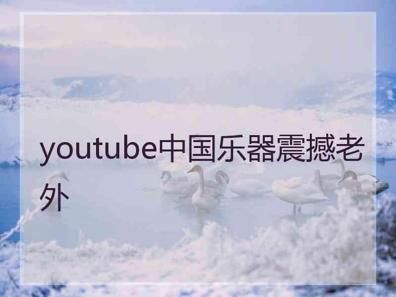 youtube中国乐器震撼老外