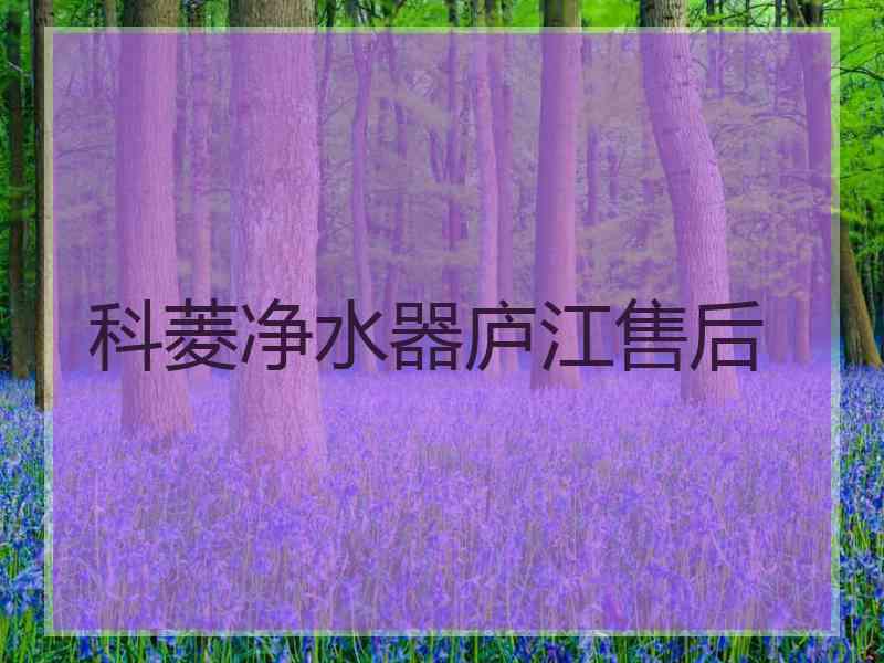 科菱净水器庐江售后