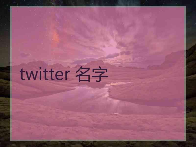 twitter 名字