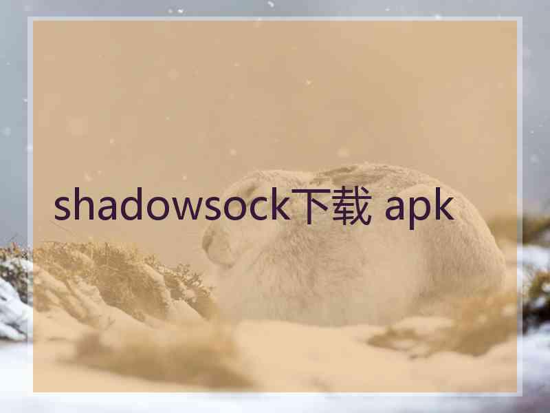 shadowsock下载 apk