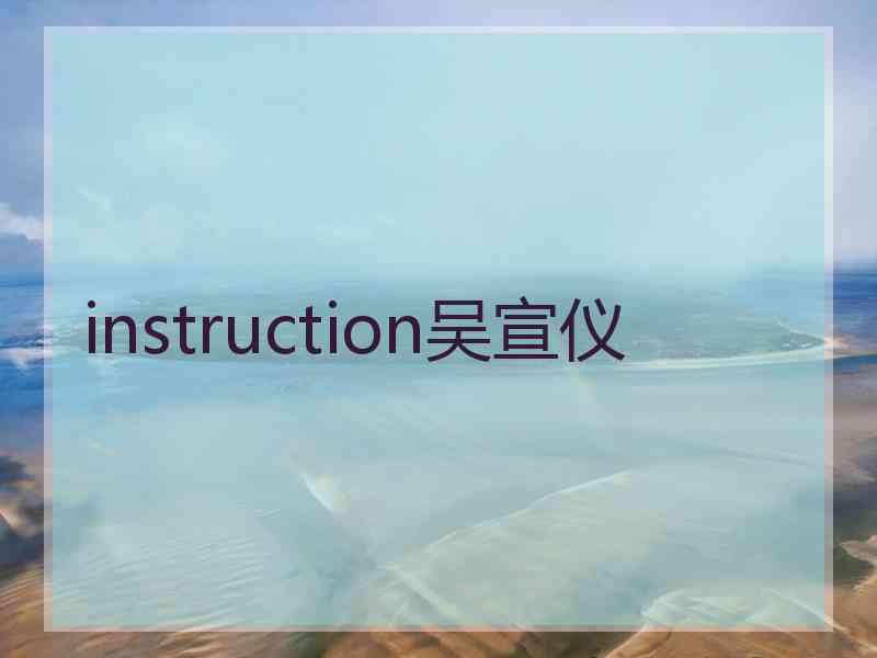 instruction吴宣仪