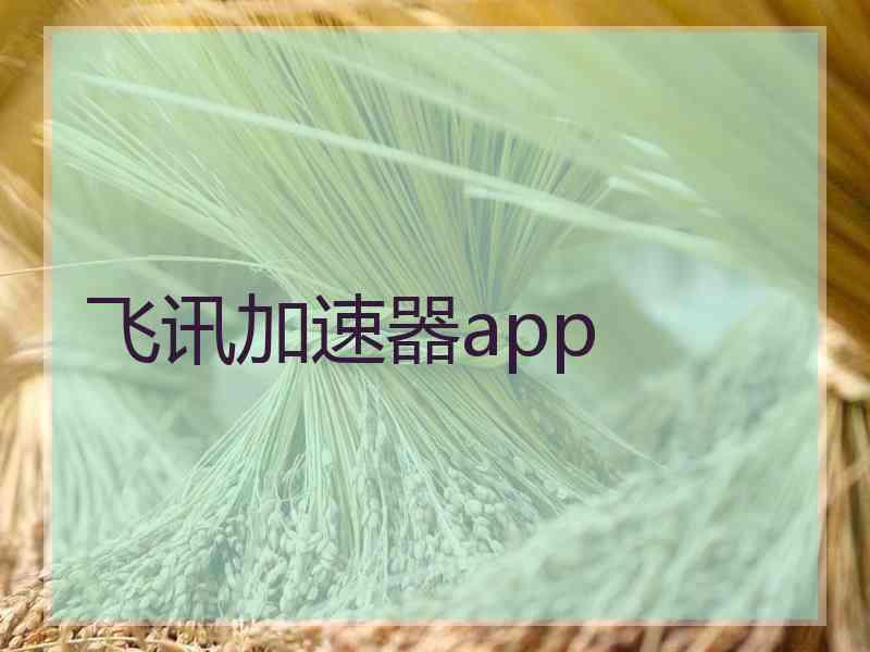 飞讯加速器app