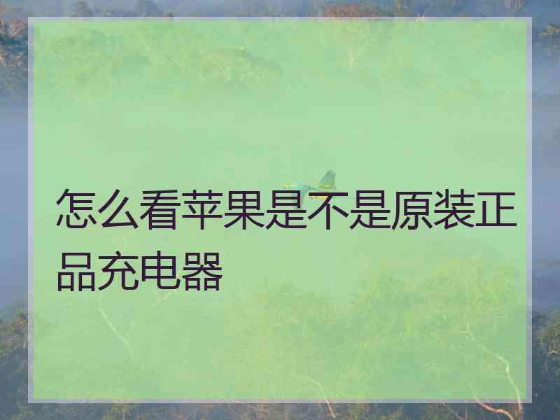 怎么看苹果是不是原装正品充电器