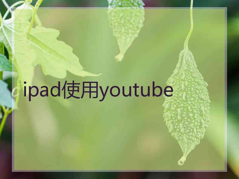 ipad使用youtube