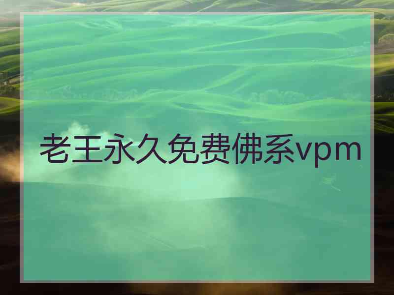 老王永久免费佛系vpm