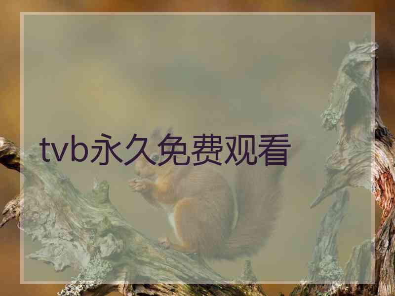 tvb永久免费观看