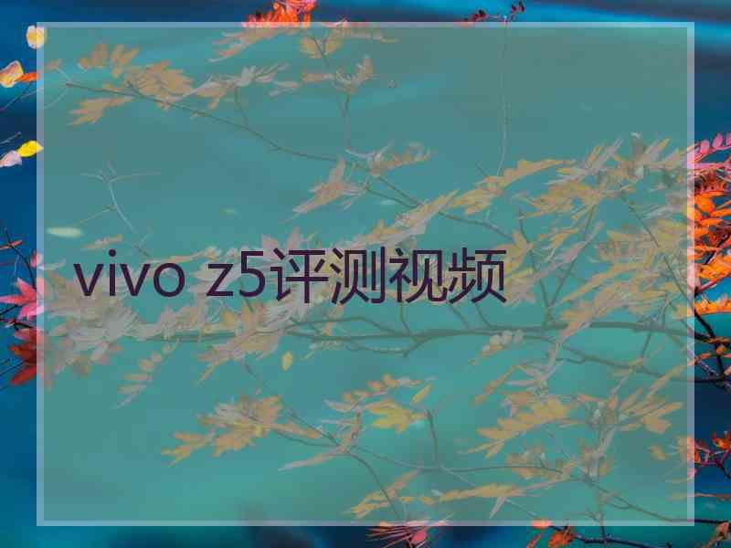 vivo z5评测视频