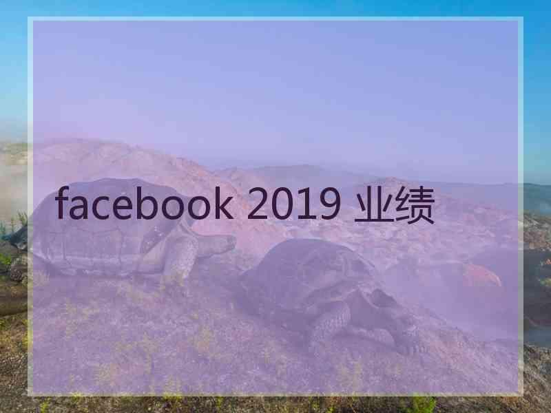 facebook 2019 业绩