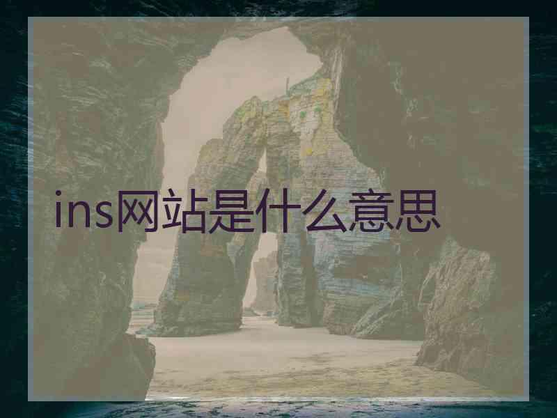 ins网站是什么意思