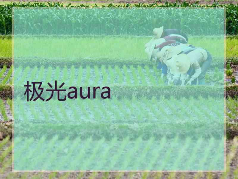 极光aura