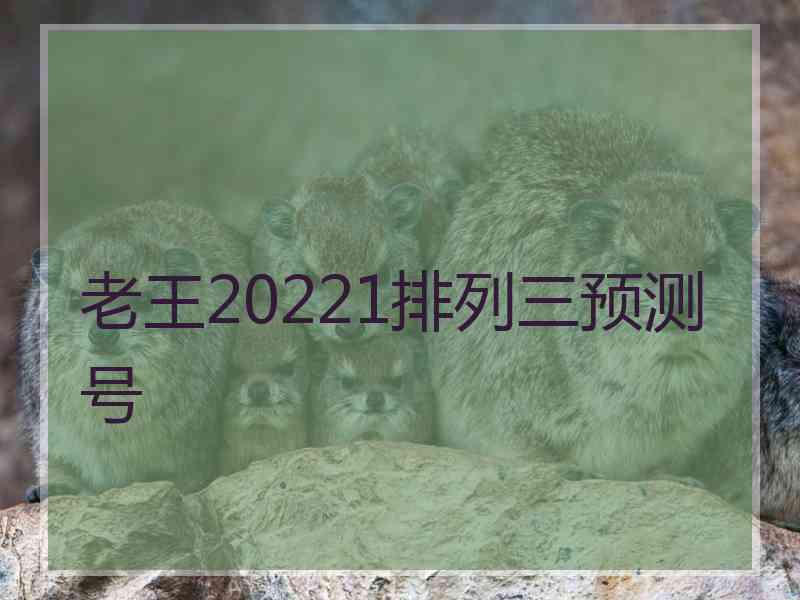 老王20221排列三预测号