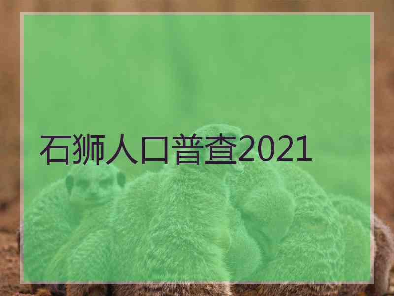 石狮人口普查2021