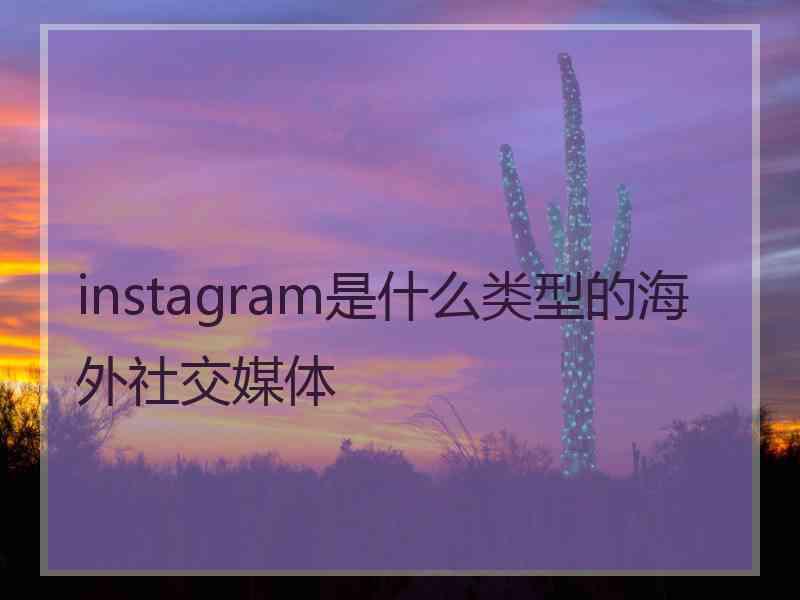 instagram是什么类型的海外社交媒体