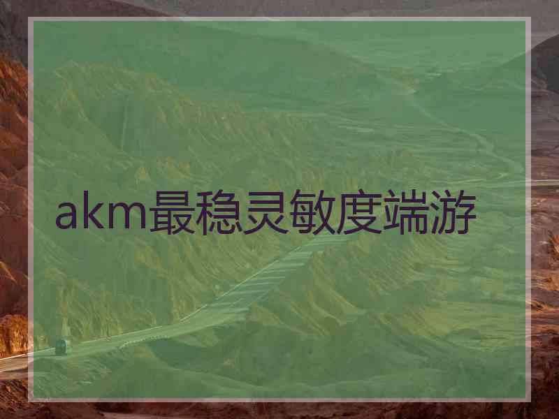 akm最稳灵敏度端游