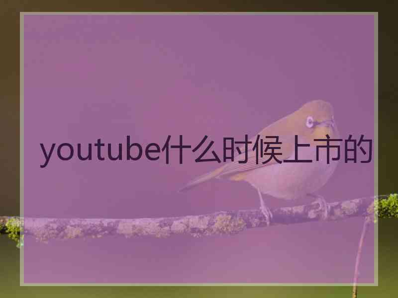 youtube什么时候上市的