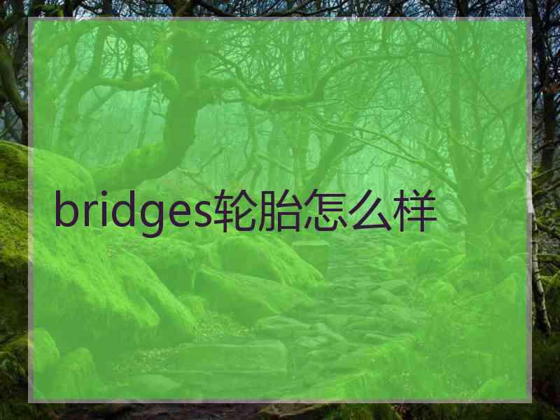 bridges轮胎怎么样