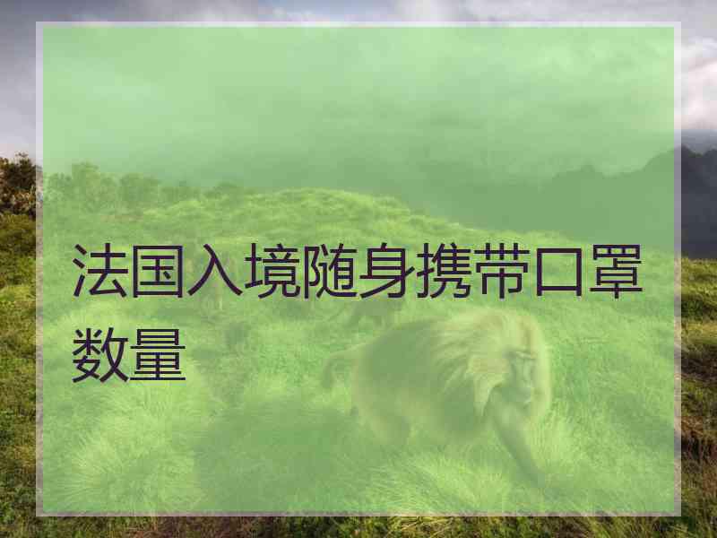 法国入境随身携带口罩数量