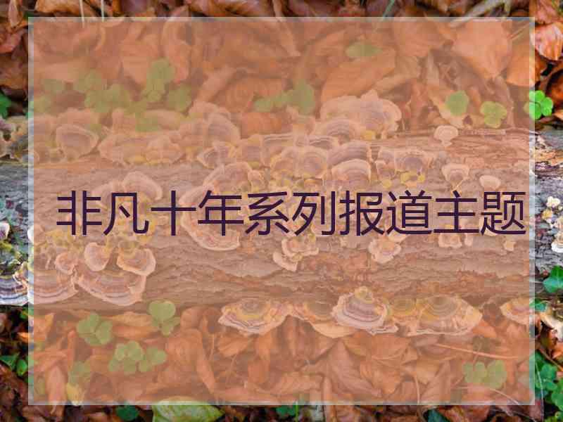 非凡十年系列报道主题