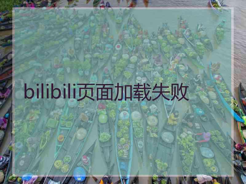 bilibili页面加载失败