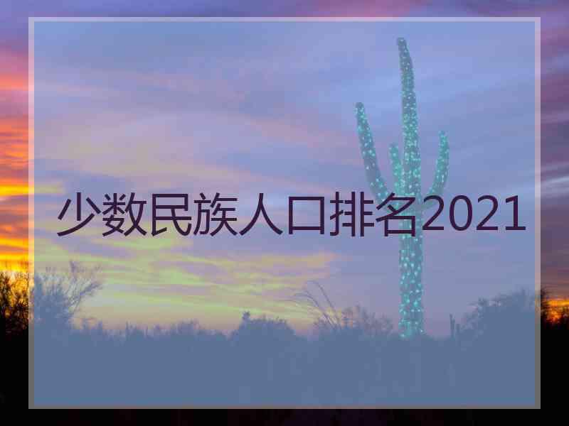 少数民族人口排名2021