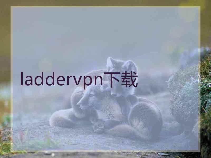 laddervpn下载